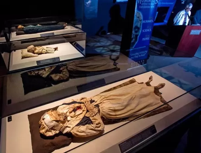 En trouvant la momie d'une mère et de son enfant vieille de 300 ans dans la crypte d'une église, les experts révèlent la vérité dont des dizaines de milliers d'enfants ont souffert dans les temps anciens - Photo 5.