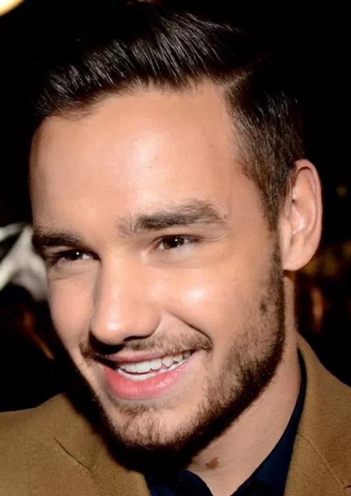 Liam Payne – Wikipédia vietnamien