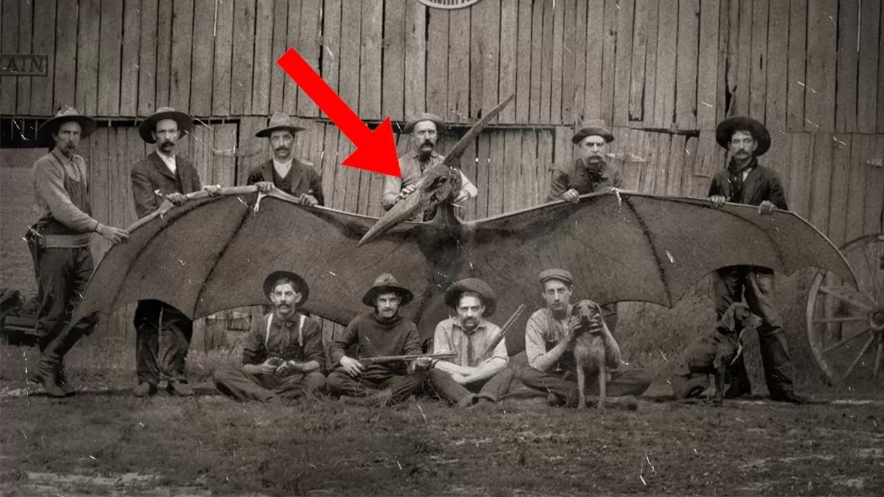 The Most Mysterious Historical Photos - YouTube