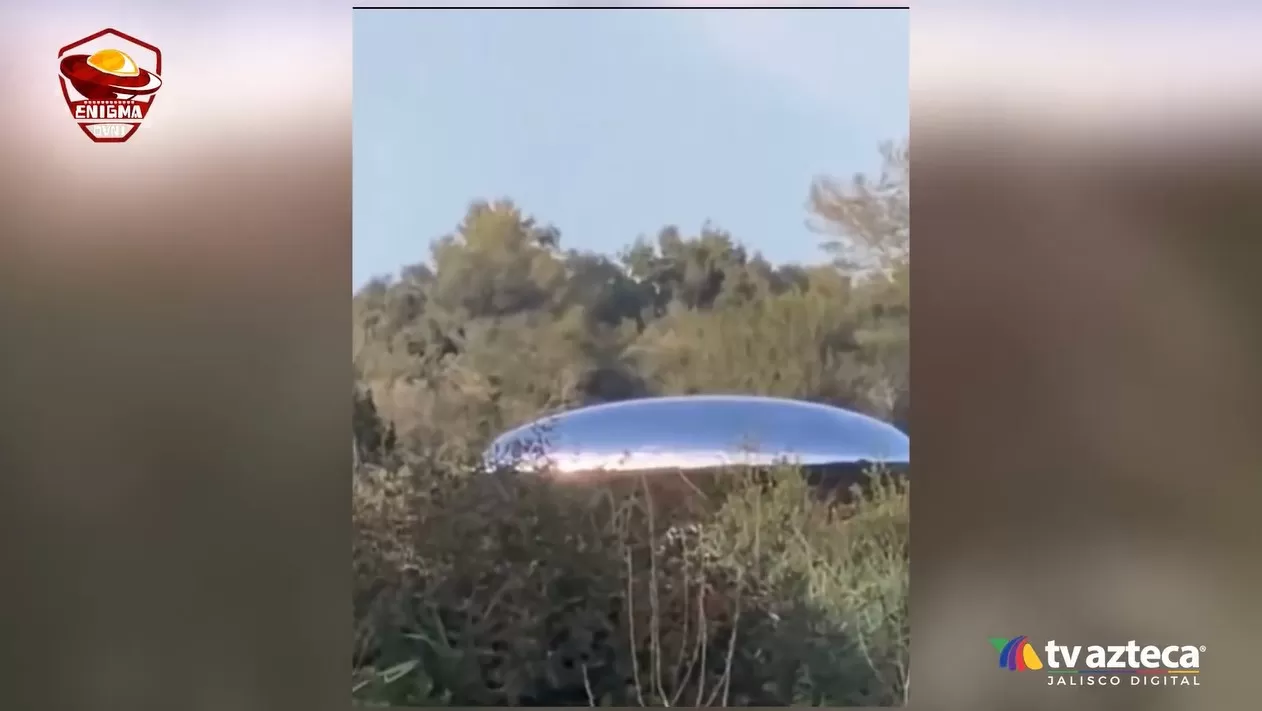 VIDEO: Captan un ovni a centímetros del suelo en bosque de España