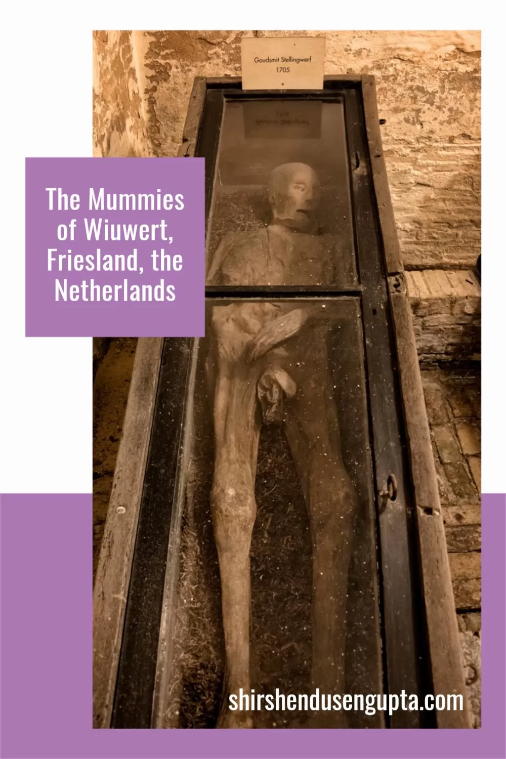 pinterest pin The Mummies of Wiuwert