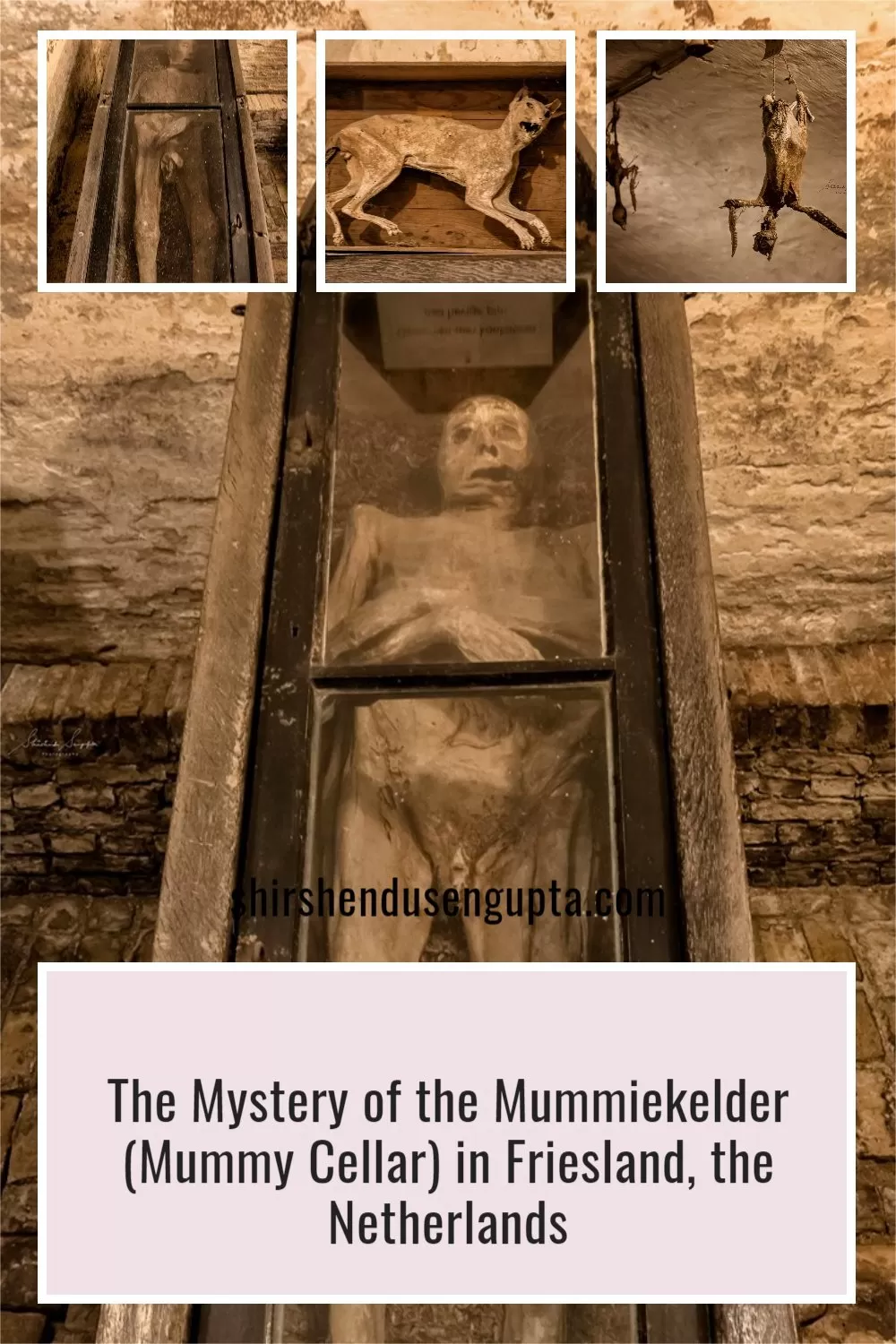 pinterest pin The Mystery of the Mummiekelder (Mummy Cellar) in Friesland, the Netherlands