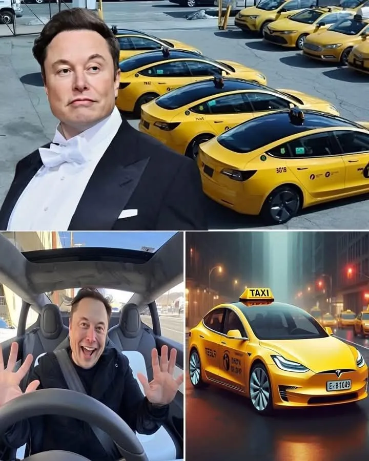 Elon Musk surprises the world: Tesla's first plane takes to the skies. 3 Elon Musk surprises the world: Tesla's first plane takes to the skies.