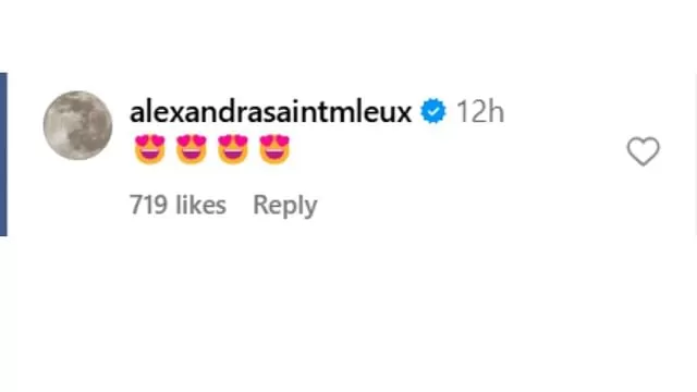 Screengrab of Alexandra Saint Mleux's comment on Rebecca Donaldson's Instagram post (@iamrebeccad)