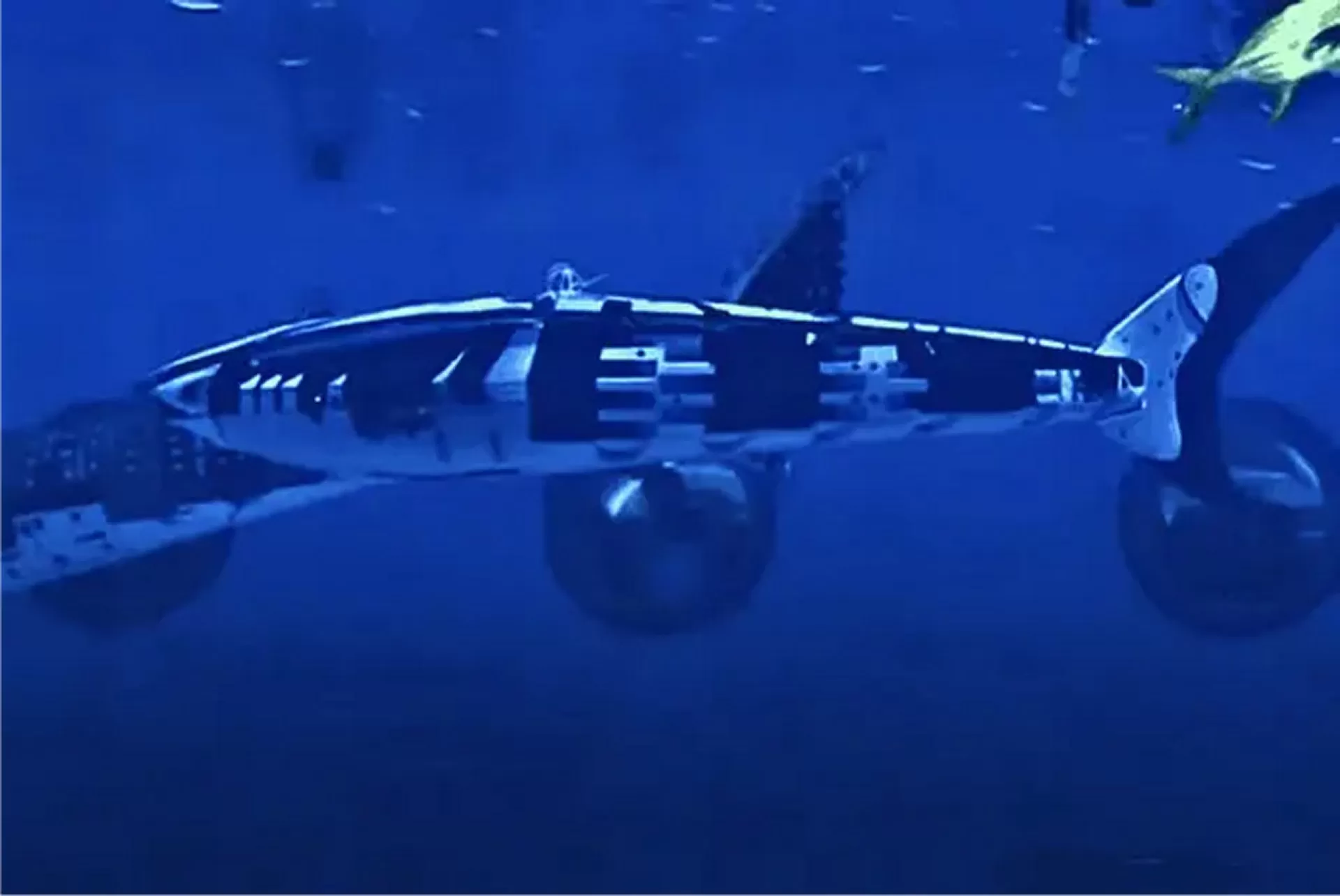 China unveils world's first robotic whale shark blending space and marine technology