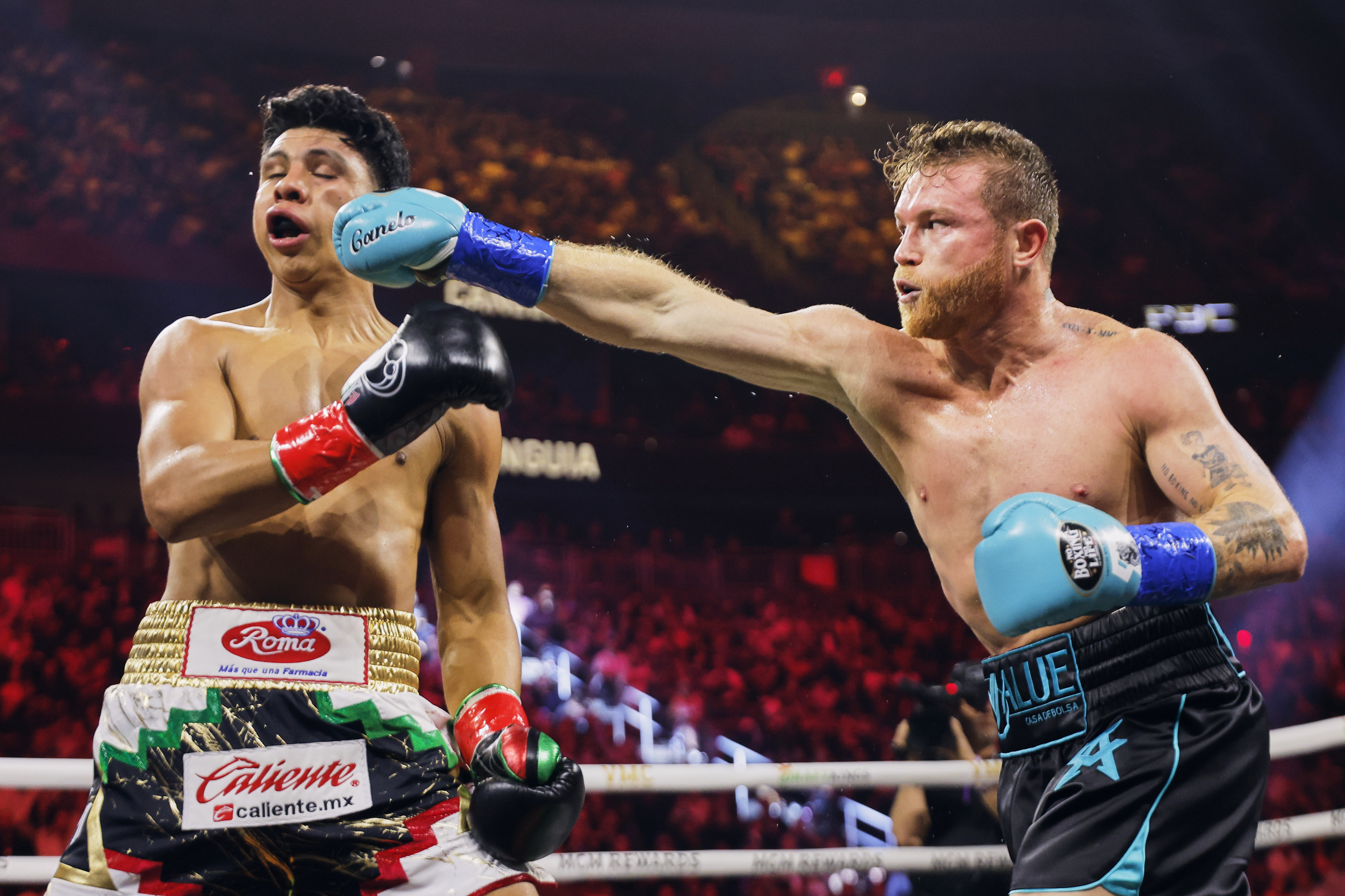 La FIB le ordenó a Canelo boxear contra el invicto boxeador cubano Scull