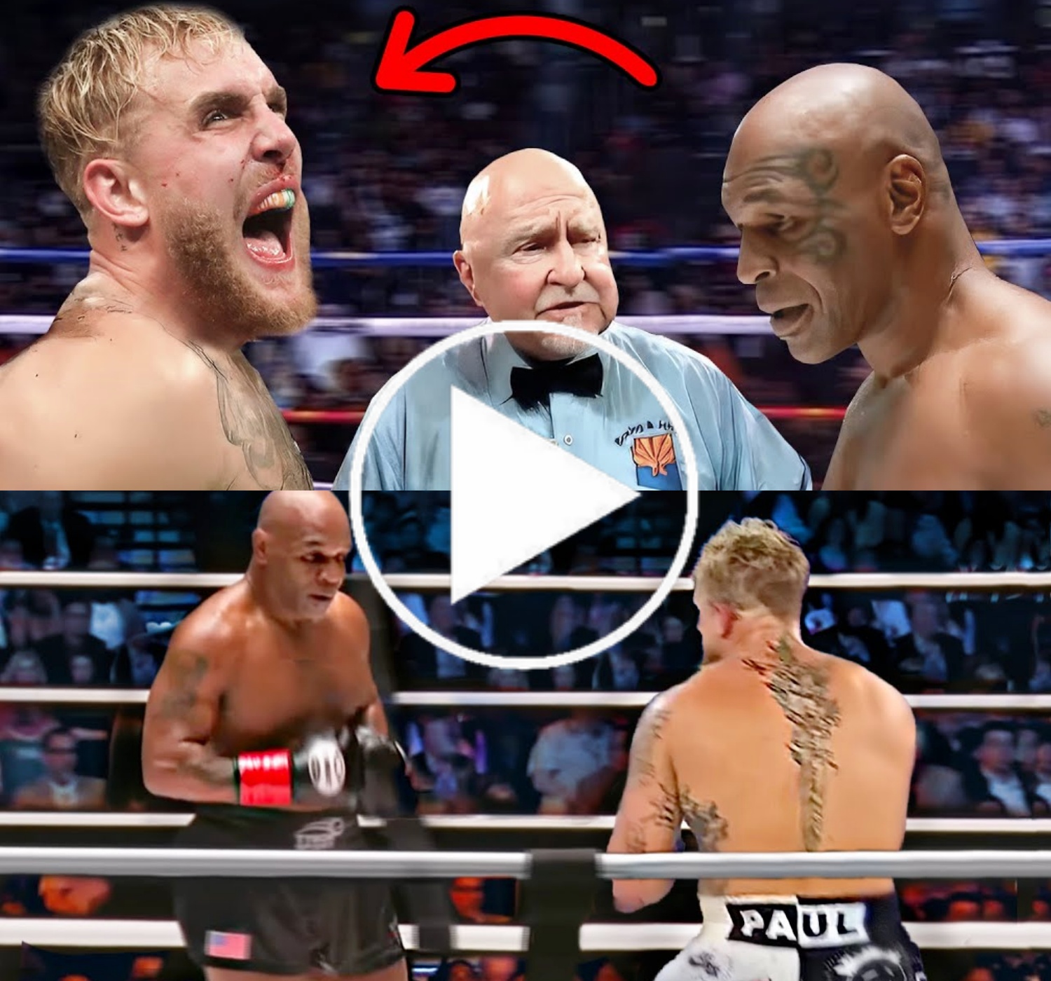 Jake Paul Knocked Out By Mike Tyson In Sparring Session, Video Revealed ...