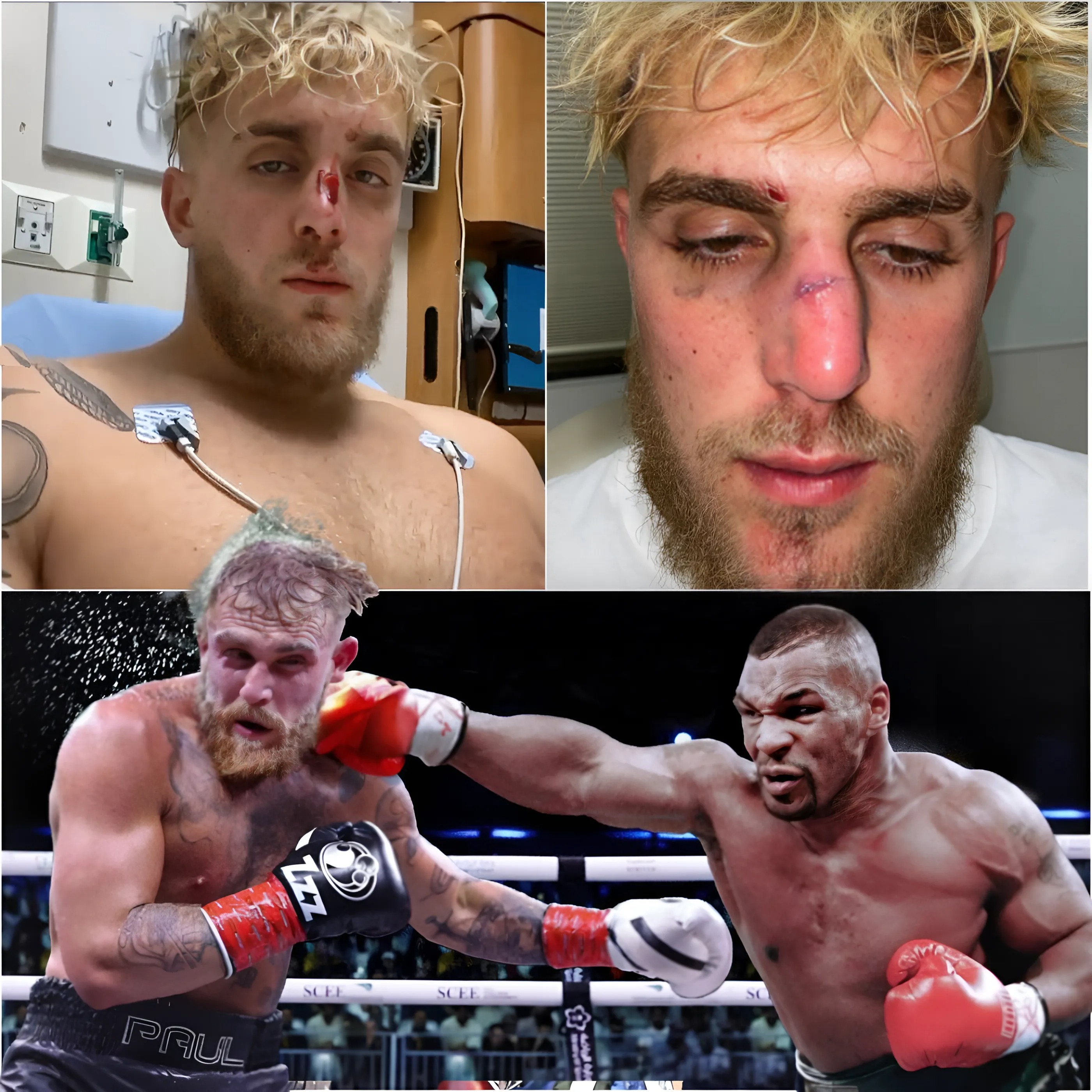 Jake Paul Seeks to CANCEL Fight After Humiliating Sparring