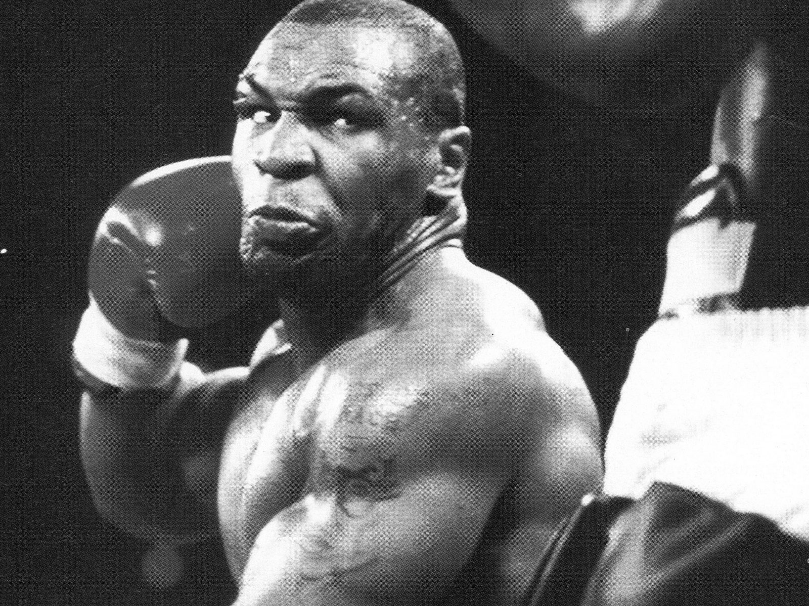 Behind Mike Tyson's Big Bite | The New Yorker