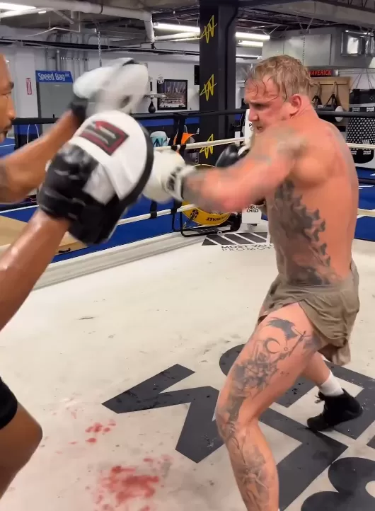 Paul crushed the pads in a new training video