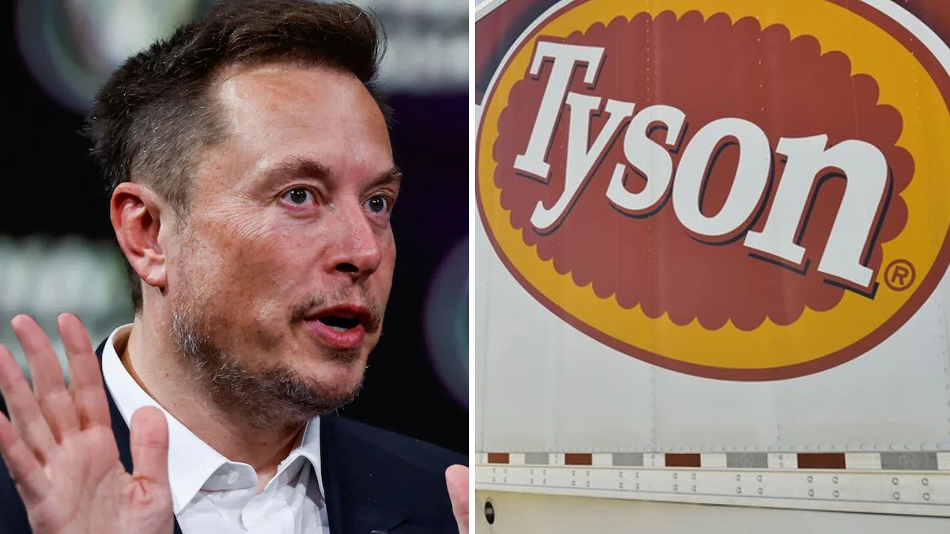 Breaking: Elon Musk Urges Boycott of Tyson Foods, Says “I’ll Never Purchase from Tyson Foods Again!”