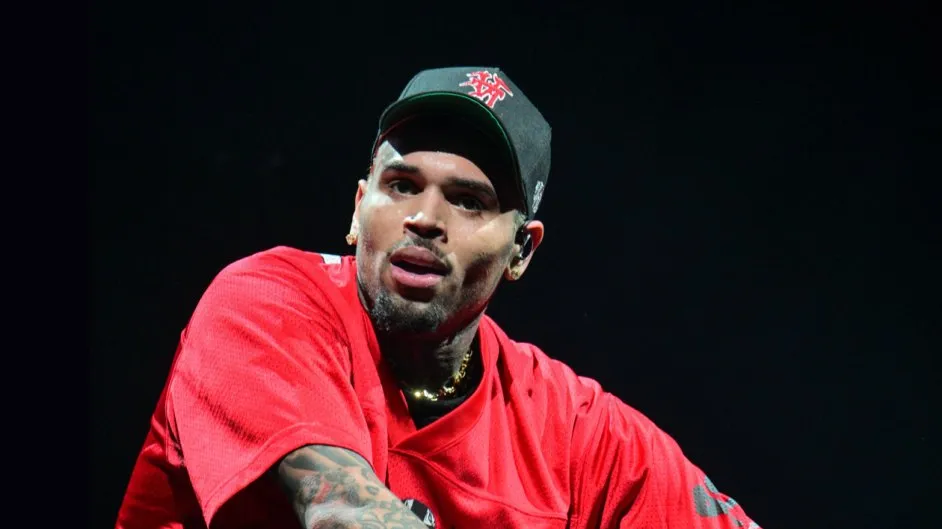 Le concert de Chris Brown en Afrique du Sud fait l'objet de vives réactions et d'une pétition pour l'arrêter