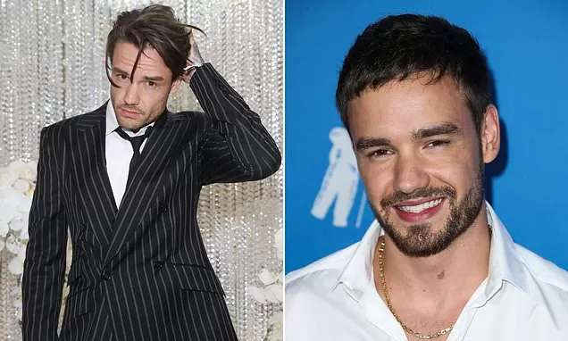 Liam Payne's last big project: One Direction star wrapped filming for new  Netflix show just weeks before his death - as fans beg streaming service  not to scrap it | Daily Mail Online