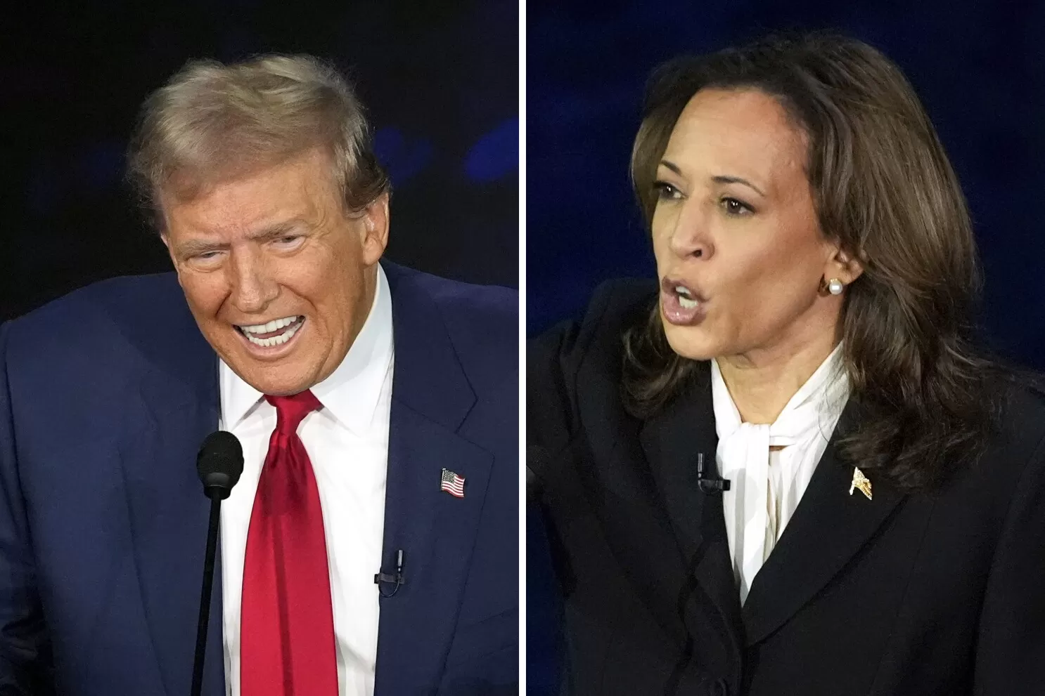 FACT FOCUS: A look at false and misleading claims made during Trump and  Harris' debate | AP News