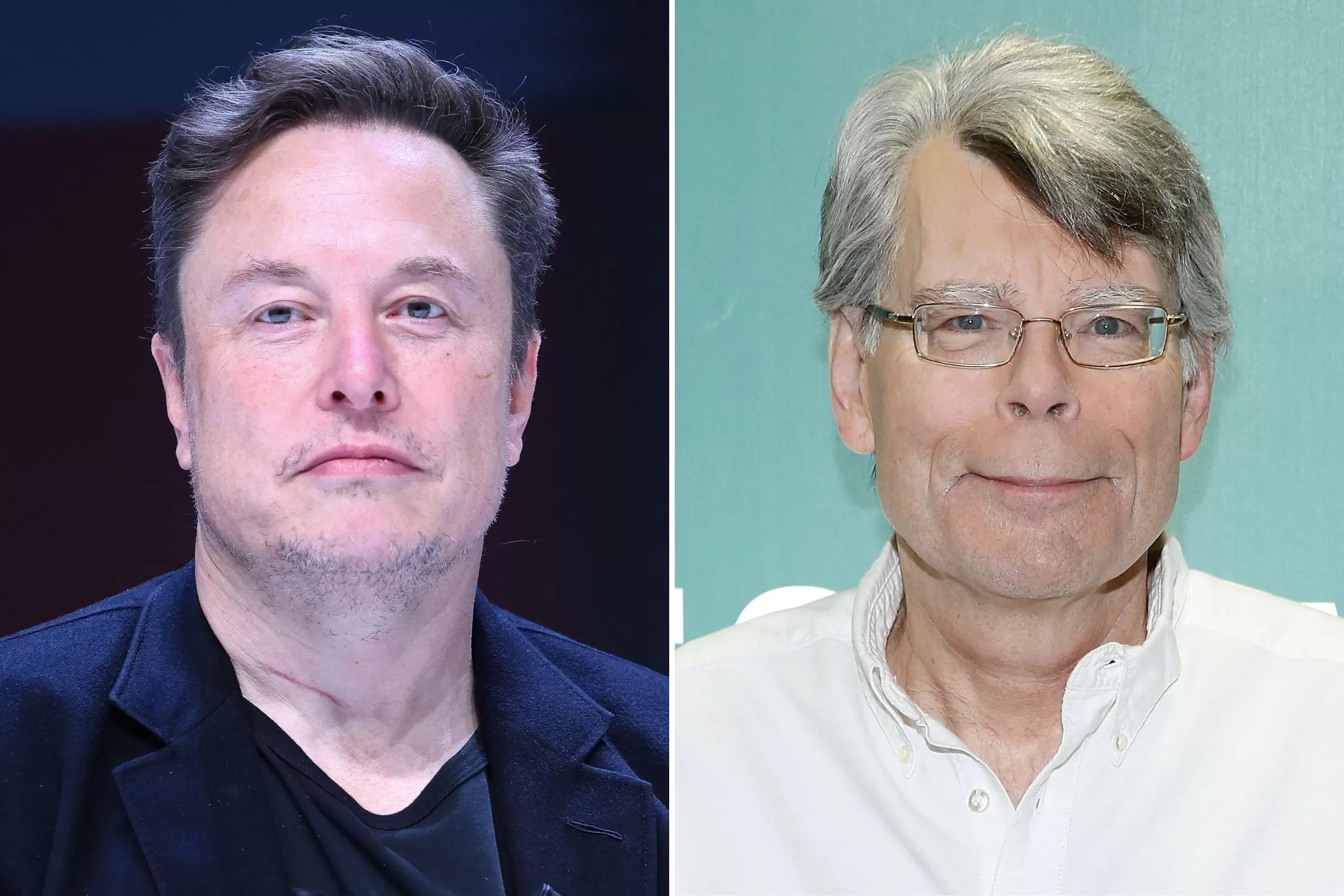 Stephen King's Viral Elon Musk Call Out Gets a Response From Him - Newsweek