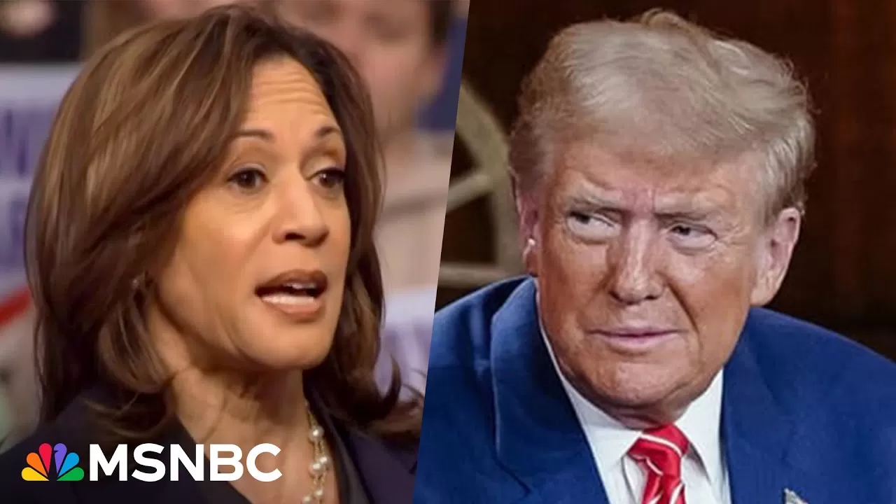 Calling him out day after day': Harris draws contrast with Trump - YouTube