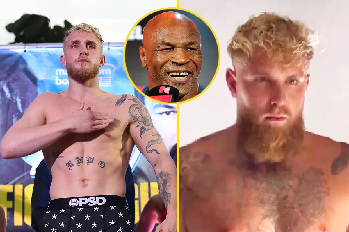 Jake Paul explains shock body transformation for Mike Tyson fight as he  bulks up to heavyweight | talkSPORT