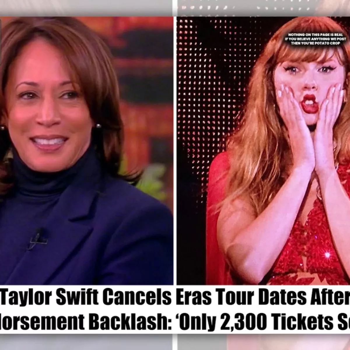 Taylor Swift Didn't Halt Eras Tour After Harris Endorsement Backlash |  Snopes.com