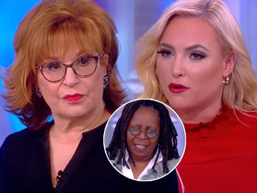 Whoopi Goldberg Stops 'View' Fight Between Meghan McCain and Joy Behar