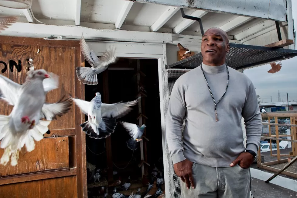 Mike Tyson: A boxer, pigeon keeper and performer who was once interviewed  by a serial killer – Daily Bulletin