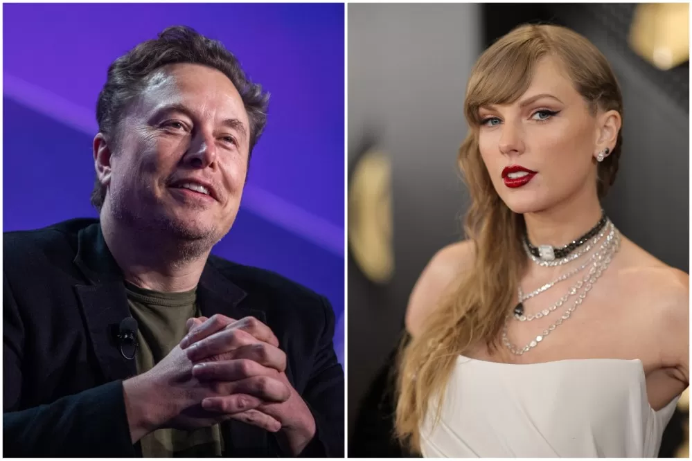 Elon Musk Slammed for Taylor Swift Comment 'I Will Give You a Child'