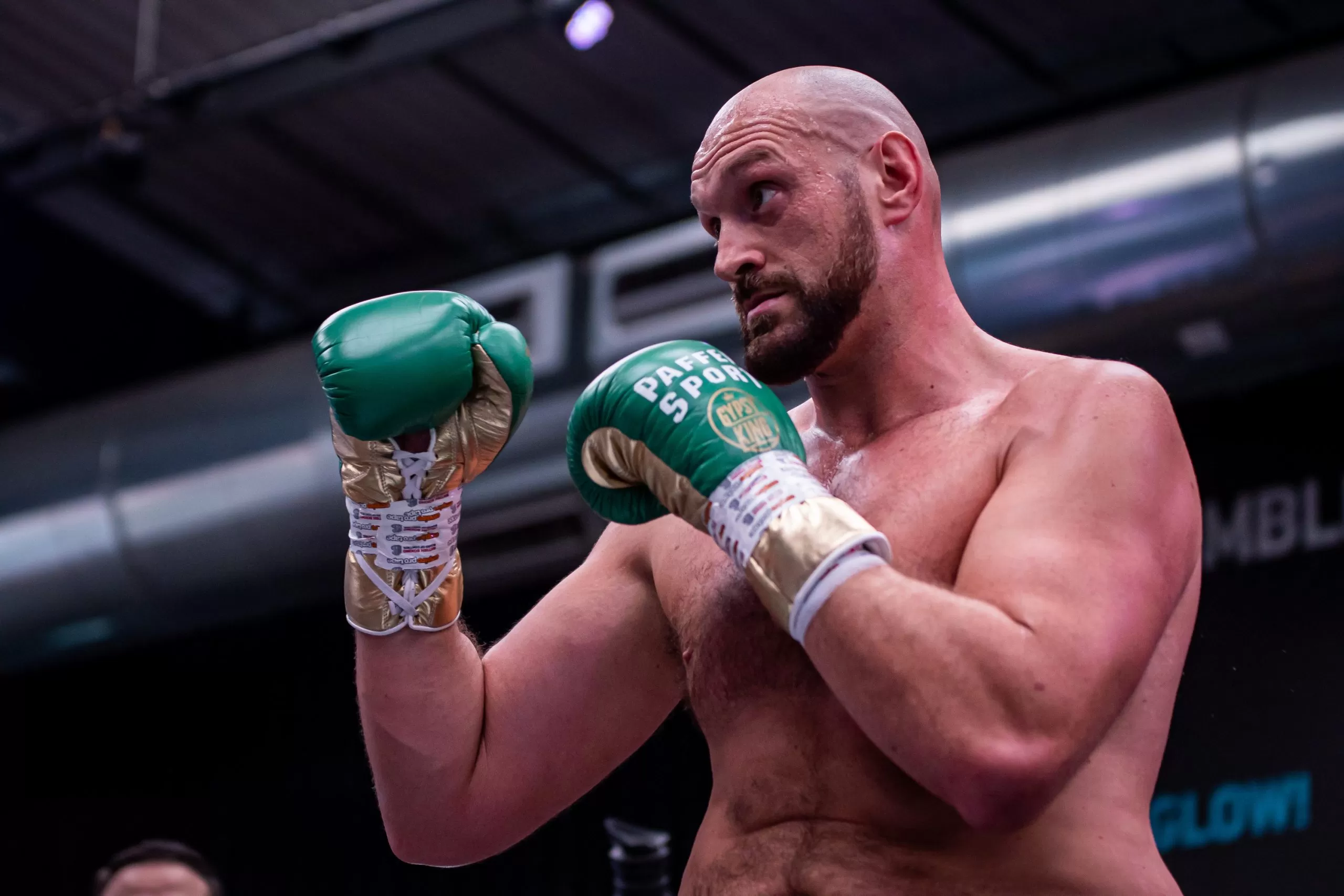 Tyson Fury Boxing Profile, Record & Stats | William Hill