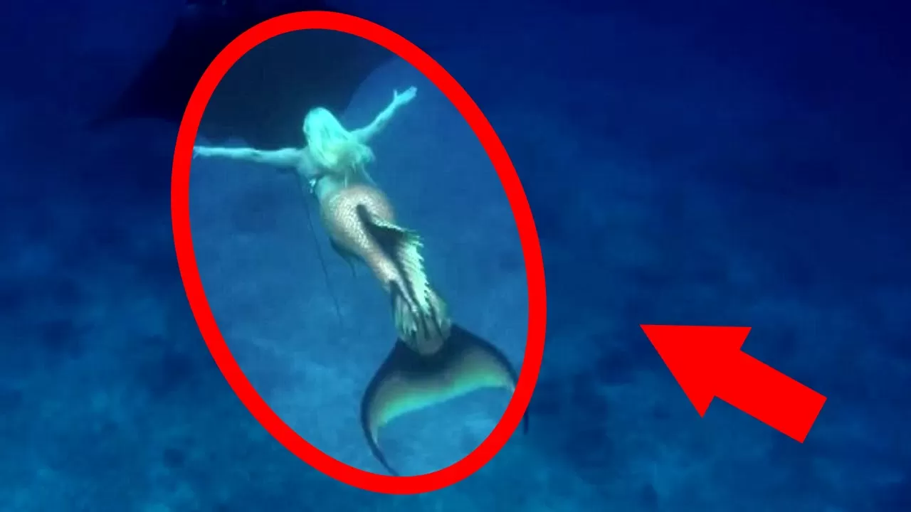 Mysterious Creatures + REAL Mermaids Caught on Tape | Doovi