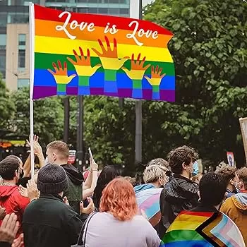 Rainbow Pride Flag Banner LGBT Love is Love Flags Gay Pride Lesbian Signs  Banners Gifts for Outdoor Parade Celebration Party Indoor Decoration 3X5 Ft  : Amazon.co.uk: Garden