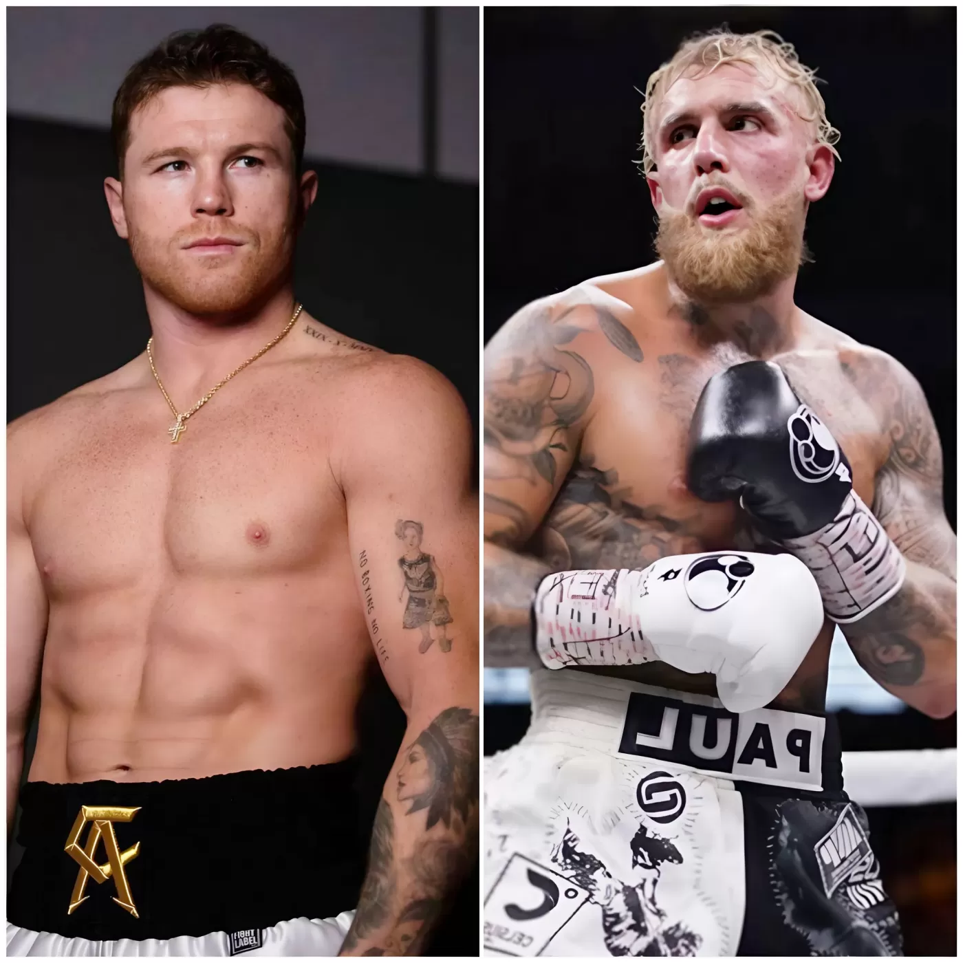 Cover Image for Jake Paul Pressures Canelo Alvarez to Accept Challenge: ‘All He Wants Is Money’