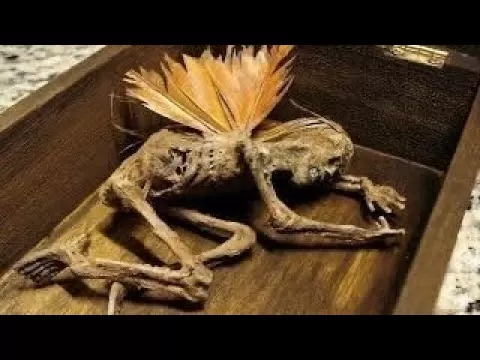 Evil Relics Ed and Lorraine Warren Kept Secret Until Now - YouTube