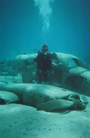 Jim by a sunken plane - Picture of Bahamas, Caribbean - Tripadvisor