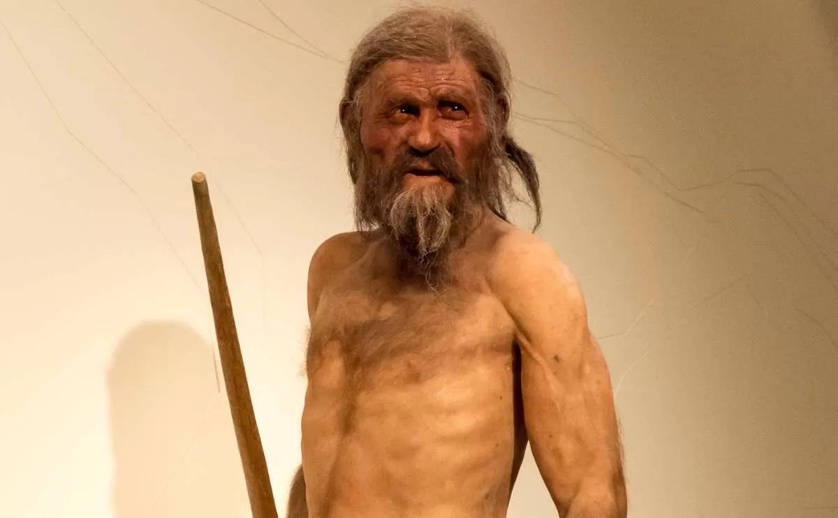 Ötzi l'homme des glaces : faits, théories, disputes et plus encore | We Rock Your Web