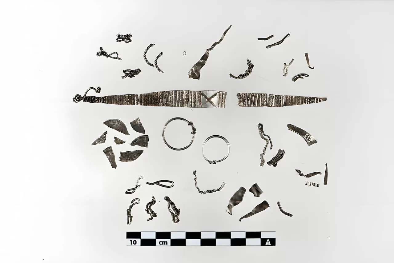 Un trésor d'argent de l'ère Viking est découvert en Norvège, avec des objets coupés en morceaux pour servir de monnaie