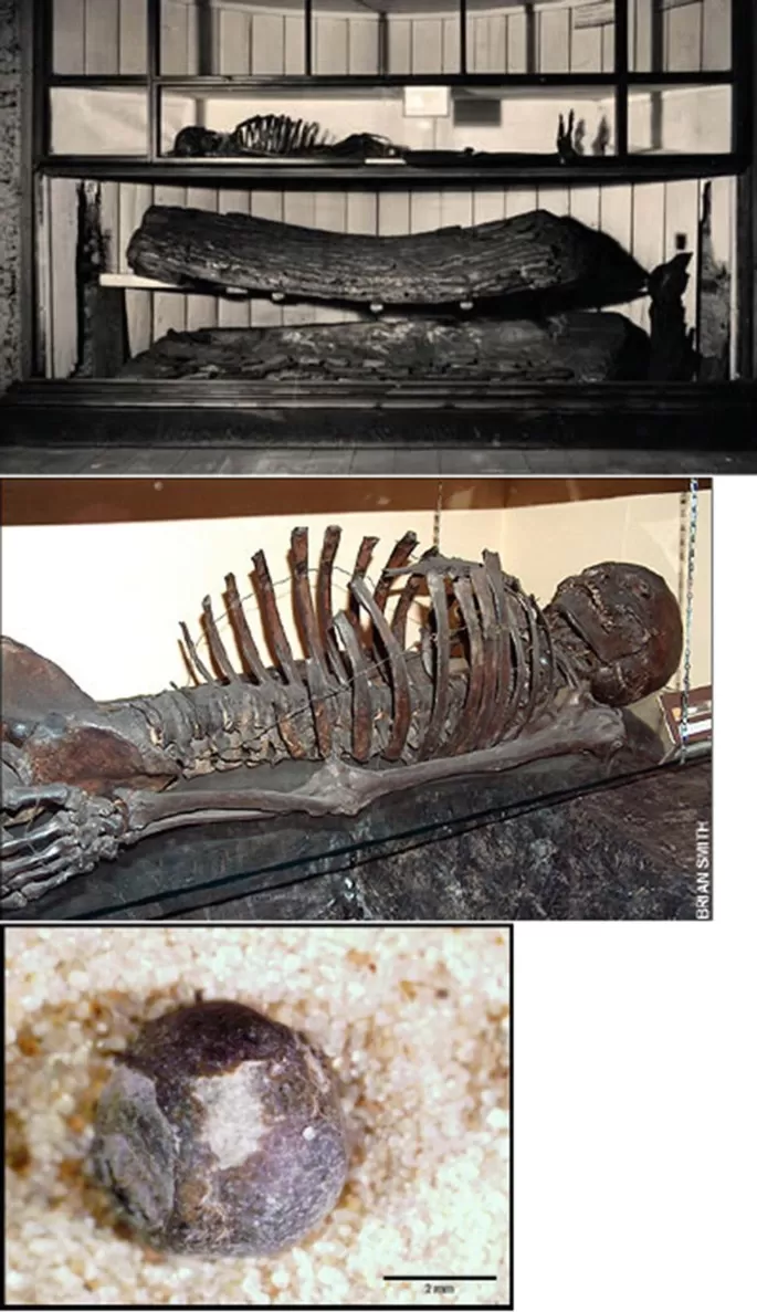 Archaeology of Biomaterials: Mummies, Ivories, Resins and Textiles |  SpringerLink