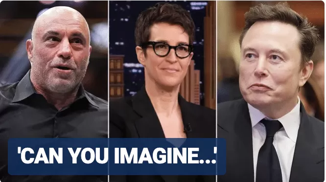 Joe Rogan asks to replace Rachel Maddow's job if Elon Musk buys MSNBC