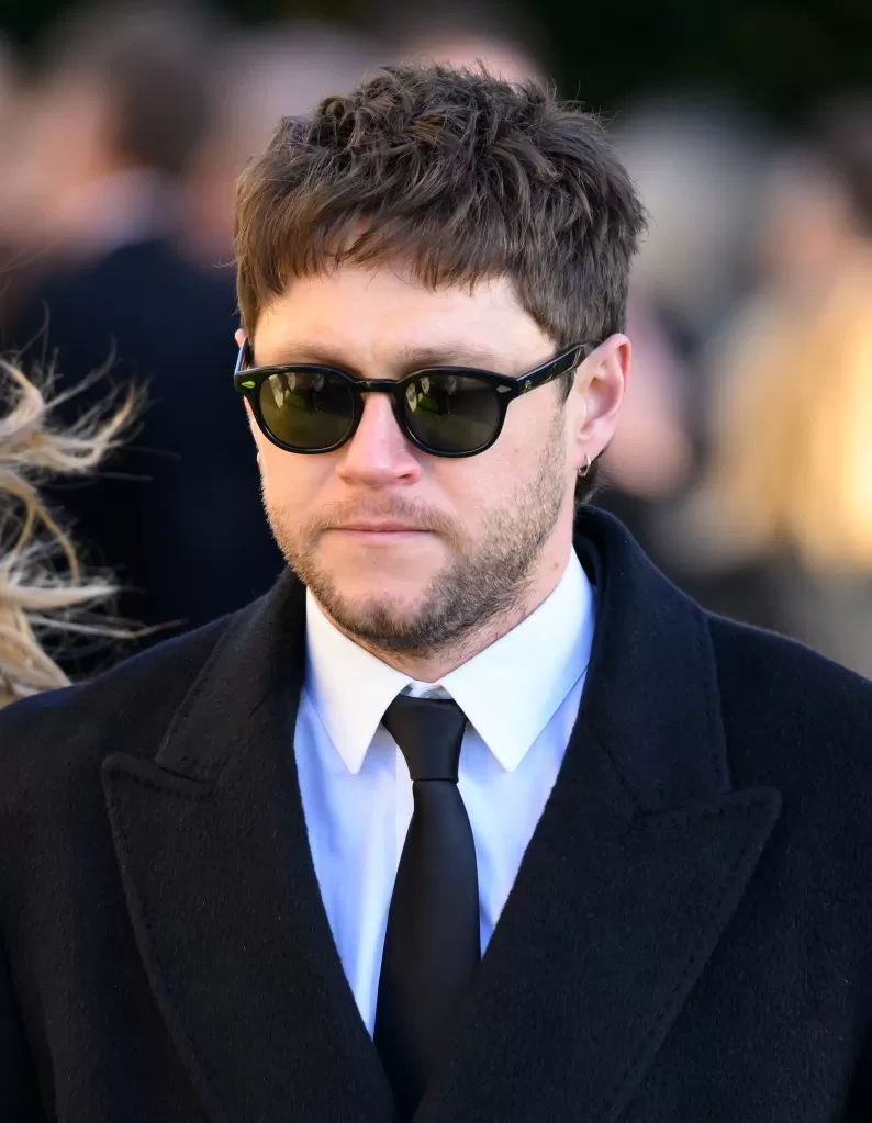 Niall Horan en lunettes de soleil et costume.