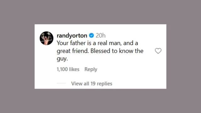 Randy Orton's comment (Image via @aalyahgutierrez on Instagram)