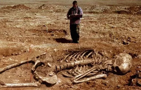 El misterio del esqueleto gigante de 10 metros de largo desenterrado en 1976 - Foto 7.