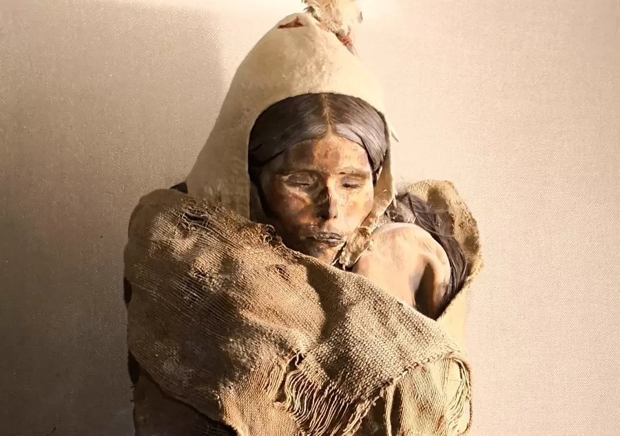 The whispered stories of the Tocharian Female – the ancient Tarim Basin mummy 3