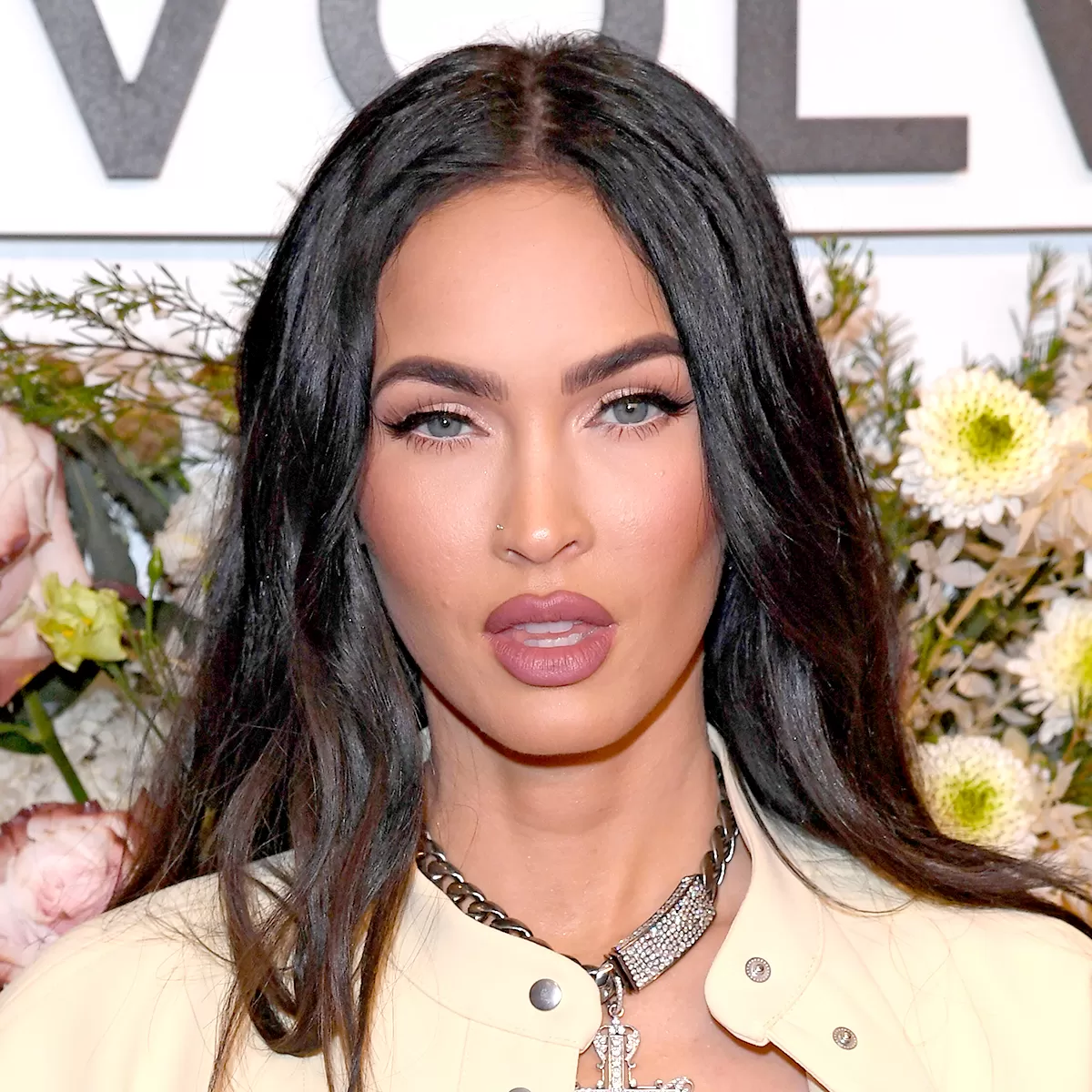 Fans Unhappy With Megan Fox 'Instagram Face' After Reported Plastic ...