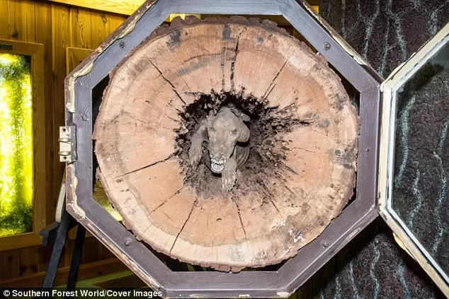 Stuckie - El desafortunado perro de caza estaba tan ocupado persiguiendo a su presa que se convirtió en una momia atrapada en el tronco de un árbol durante más de medio siglo - Foto 2.