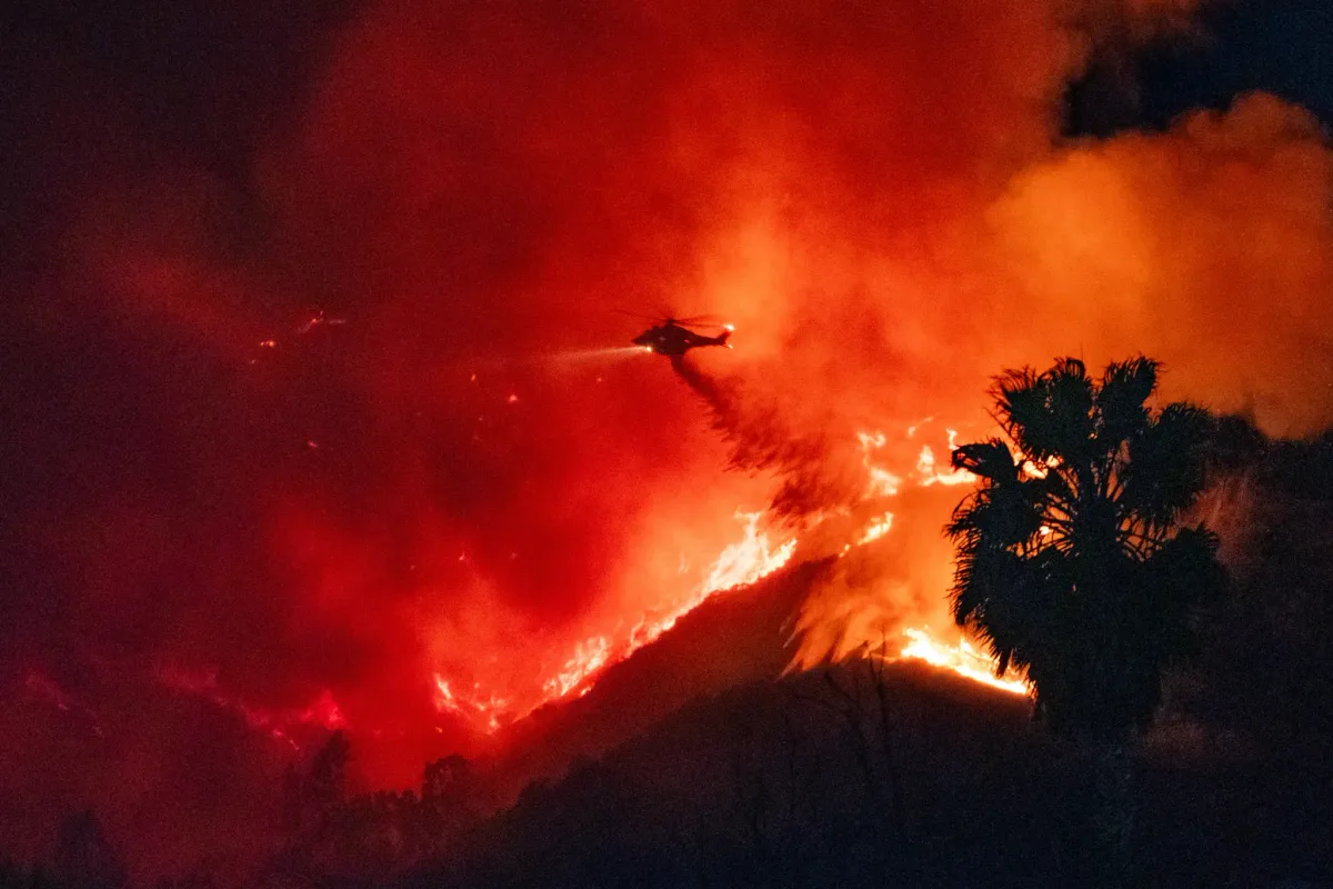 Actress's story of escaping the Los Angeles wildfire disaster - Photo 1.