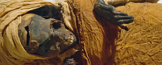 How to make a mummy? Humanity has just discovered the oldest embalming recipe in history, and it's surprisingly detailed.