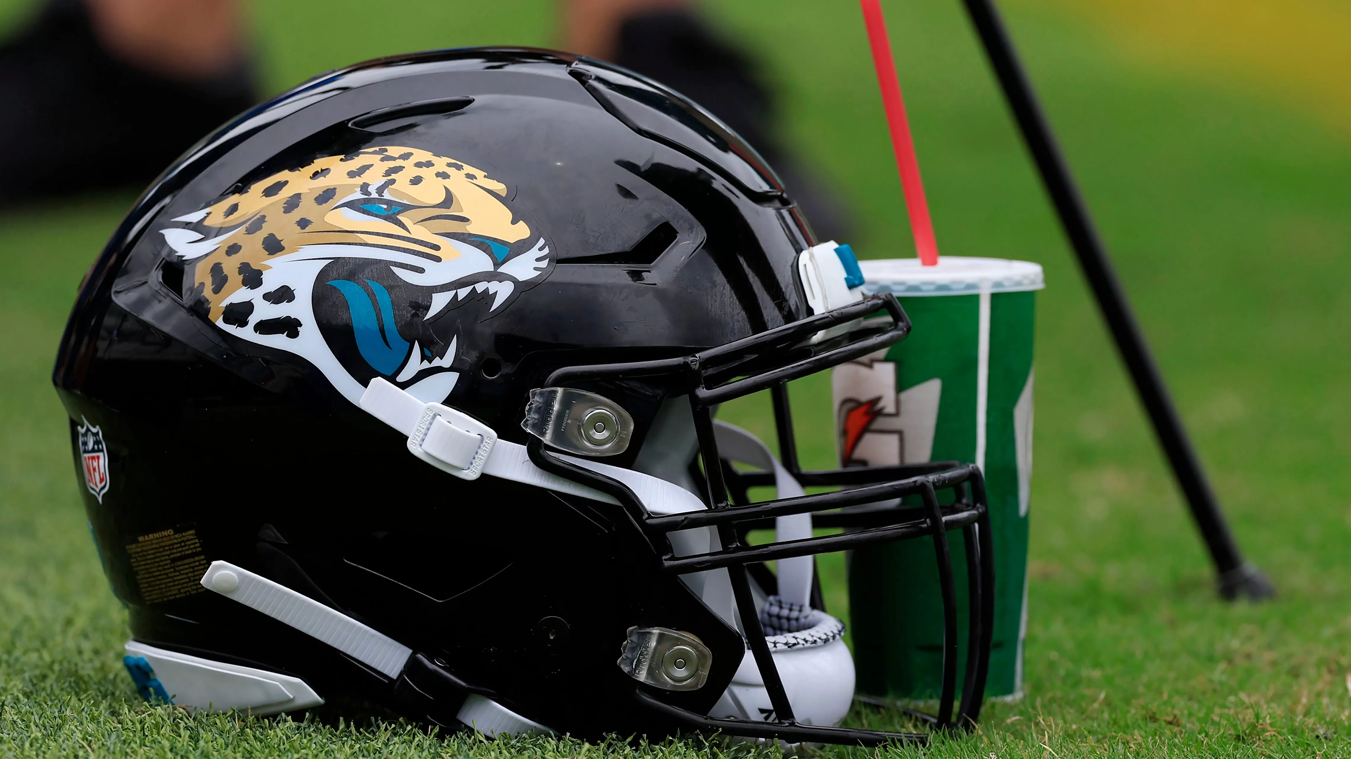 Jaguars ask FanDuel to return millions stolen by Amit Patel for bets