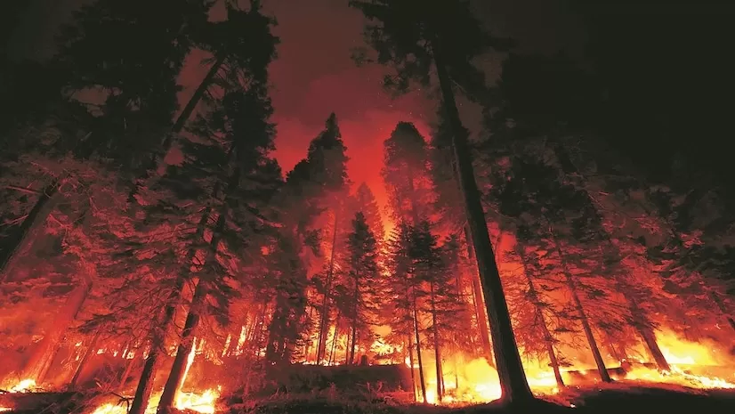 Aufgrund zunehmender Winde werden in Südkalifornien Waldbrandwarnungen herausgegeben; LA schwer betroffen | Weltnachrichten – Business Standard