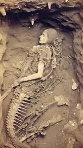 Unearthing the Mermaids of Tulare Lake | TikTok