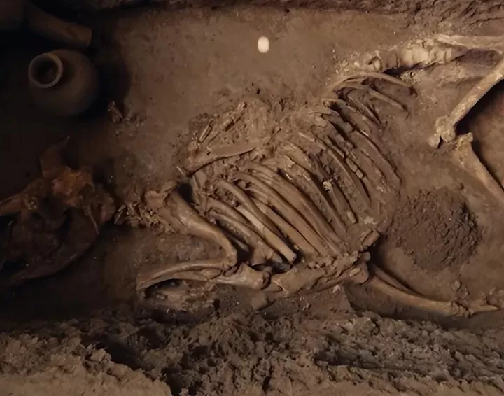 La misteriosa criatura desenterrada de la tumba del emperador de la dinastía Han es...