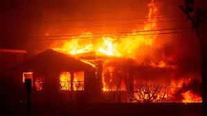 Un incendio forestal en Los Ángeles destruyó una iglesia y muchas escuelas tuvieron que cerrar - Vatican News