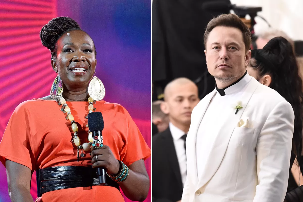 Joy Reid suggests Elon Musk 'misses' South Africa apartheid