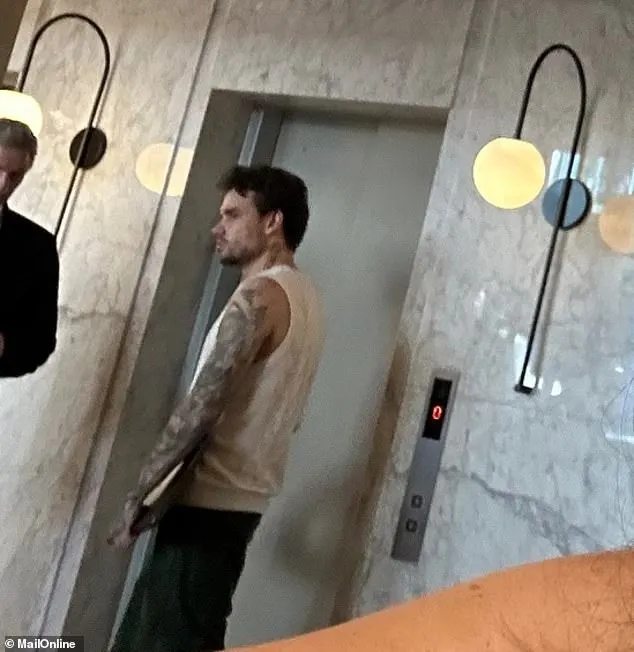 Wild' Liam Payne was seen arguing with mystery woman about money in hotel  lobby just hours before falling to his death from balcony | Daily Mail  Online